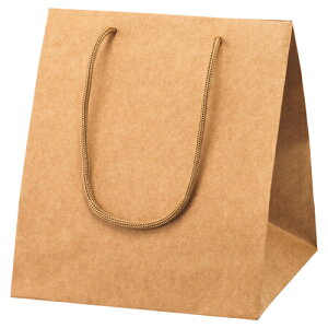 AWobO  23×23×27 50 61-310-1-5 y bsOpi  񂰎܁inj  AWobO  bsOpi zyX܏Y  fBXv[ Mtg bsO   