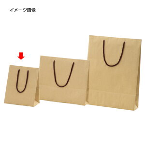 񂰎 J[Ntg Ntg 20×12×25cm 100 61-785-20-5 ybsOpi  񂰎܁inj  bsO y[p[obO gɂ n Ntg 񂰑 