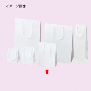 ��񂰎��� �G���{�X �� 17×23cm 10�� 61-313-8-4 �y���b�s���O�p�i ���b�s���O�V���[�Y �o�����^�C���E�C�[�X�^�[�E���w ��񂰎��� � ���b�s���O�� ���� �y�[�p�[�o�b�O ���n ��񂰑� ����