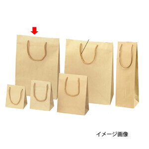 エンボス クラフト 22.5×8×32 50枚 61-313-9-11 【 ラッピング用品 紙袋 手提げ紙袋(無地) 手提げ紙袋 】【店舗什器 小物 ディスプレー ギフト ラッピング 包装紙 袋 消耗品 店舗備品】