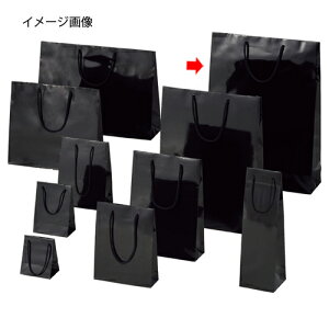 y܂Ƃߔ10Zbgiz񂰎 uCgobO N 38×12×52cm 10 61-314-2-11 ybsOpi bsOV[Y o^CEC[X^[Ew uCgobO ubNVW