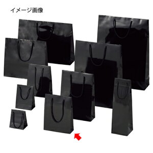 񂰎 uCgobO N18.5×6.5×24cm 10 61-314-2-6 y bsOpi bsOV[Y o^CEC[X^[Ew uCgobO ubNVW}  cL  z