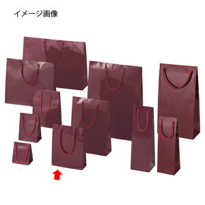 y܂Ƃߔ10Zbgiz񂰎 uCgobN GW18.5×6.5×24cm 10 61-314-3-6 ybsOpi bsOV[Y o^CEC[X^[Ew uCgobO GWV