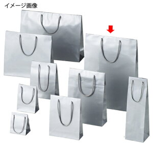 uCgobO Vo[ 33×10×45 10 61-661-54-10 y X܏Y  fBXv[ Mtg bsO   Օi Xܔi z