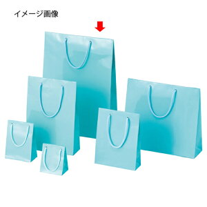 ブライトバッグ アサギ 33×10×45 10枚 61-314-6-10 【 ラッピング用品 ラッピングシリーズ バレンタイン・イースター・入学 ブライトバッグ アサギシモジマ 紙袋 ツヤ有り 水色 】【店舗什器 小