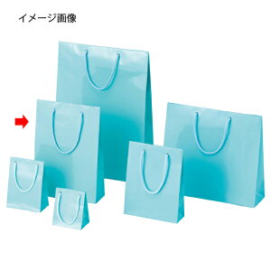 �y�܂Ƃߔ���10�Z�b�g�i�z��񂰎��� �u���C�g�o�b�N �A�T�M22.5×8×32cm 10�� 61-314-6-8 �y���b�s���O�p�i ���b�s���O�V���[�Y �o�����^�C���E�C�[�X�^�[�E���w �u���C�g�o�b�O ���� �c���L��