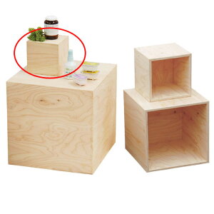 y܂Ƃߔ10Zbgiz qmLfBXv[{bNX 5 15cmp 61-117-2-1 y[J[/ϕszyX܏Y pl fBXv[ I Xܔiz