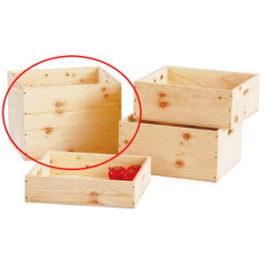 y܂Ƃߔ10Zbgiz qmLtؔ H30cm 61-117-3-4 y[J[/ϕszyX܏Y pl fBXv[ I Xܔiz