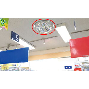 ~[ X^_[h 50cm 61-660-84-1 y[J[/ϕszyX܏Y pl fBXv[ I Xܔiz