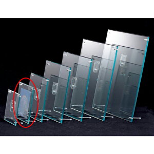 y܂Ƃߔ10ZbgizANt[ O[GbW 15×20cm(nKL) 61-208-4-2 y X܏Y pl fBXv[ I POP |X^[ Xܔi z