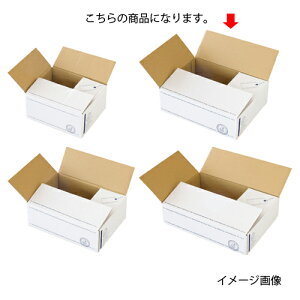 zMtg{bNX 36×11×27cm10 61-319-5-3 y X܉^cpi pi _{[EP[X zMtg{bNX zCgi{[  zy _{[ z TC