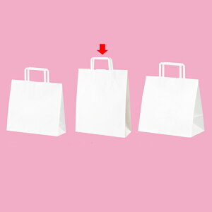 y܂Ƃߔ10ZbgizЂ [RXg^Cv n 26×10×31 300 61-800-87-16 y Xܔi  bsO  fBXv[X z