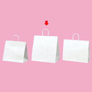 y܂Ƃߔ10ZbgizۂЂ^Cv n 38×25×39.5 50 61-431-25-8 y Xܔi  bsO  fBXv[X z