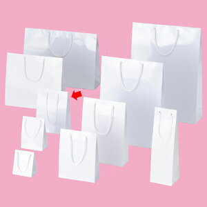 uCgobO zCg 17×8.5×23 10 61-314-1-5 y bsOpi  񂰎܁inj Rt܃uCgobO zyXܔi  bsO  fBXv[X܁z