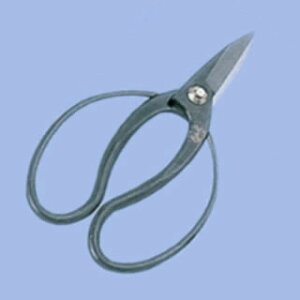   18cmynT~  ͂ p Lb`oT~ ƖpzyC`[z