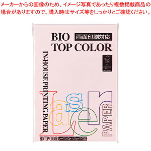 oCIgbvJ[ A4 100 BT131 t~S 1yC`[z