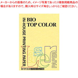 oCIgbvJ[ A4 100 BT103 CG[ 1yC`[z