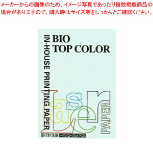 oCIgbvJ[ A4 100 BT107 u[ 1yC`[z