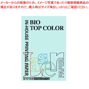 oCIgbvJ[ A4 100 BT108 Mu[ 1yC`[z