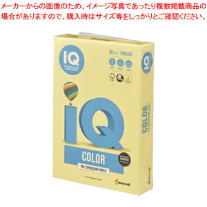 【まとめ買い10個セット品】バイオトップカラー A4判 500枚 BT512 カナリーイエロー 1冊【メイチョー】