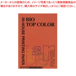 oCIgbvJ[ A4 100 BT119 ubNbg 1yC`[z