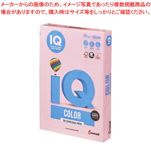 oCIgbvJ[ A4 250 BT704 sN 1yC`[z