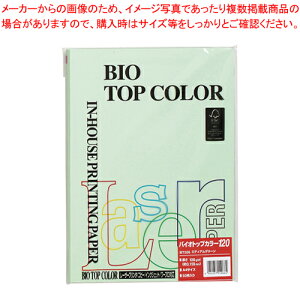 oCIgbvJ[ A4 50 BT306 MO[ 1yC`[z