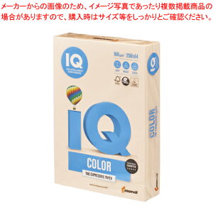 oCIgbvJ[ A4 250 BT815 T[ 1yC`[z