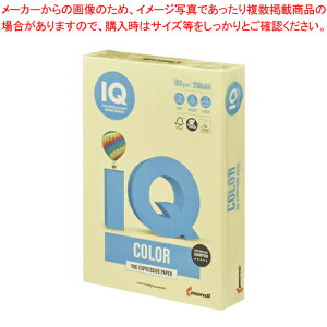 y܂Ƃߔ10ZbgizoCIgbvJ[ A4 250 BT827  1yC`[z