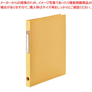 y܂Ƃߔ10Zbgiznoie-style Ot@C(cCXgO) A4 F-7681-4 IW 1yC`[z