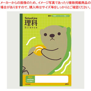 y܂Ƃߔ10ZbgizȖږ XN[C  SLS10SC bR 1yC`[z