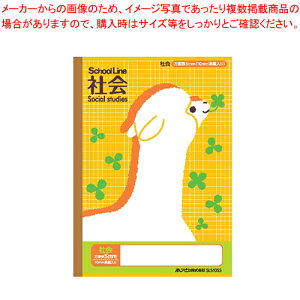 Ȗږ XN[C Љ SLS10SS ApJ 1yC`[z