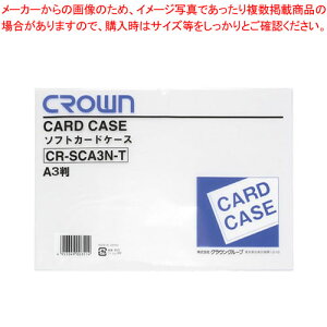 \tgJ[hP[X A3 r CR-SCA3N-T 1yC`[z