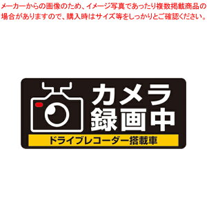 hCuR[_[V[ SR013 1yC`[z