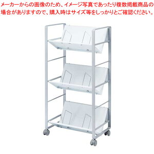 t@CS 3i WG-100N2 1yC`[z