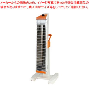 q[gX|bg SEH-10A-1 zCg 1yC`[z