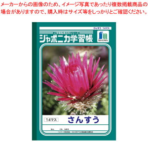 W|jJ 񂷂14}X JL-2-1 1yC`[z