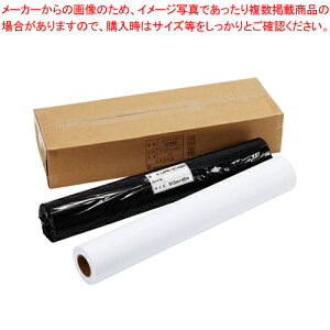 【まとめ買い10個セット品】大判インクジェットプリンタ用紙 普通紙 IJPR-6145N 1箱【メイチョー】