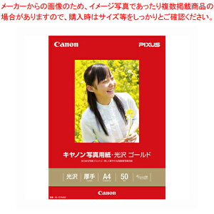 【まとめ買い10個セット品】写真用紙光沢 ゴールド A4 50枚 GL-101A450 1冊【メイチョー】