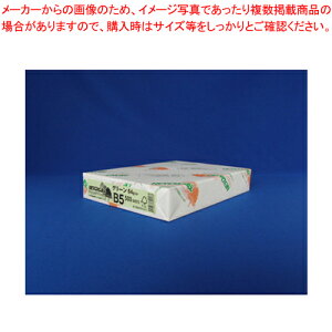 y܂Ƃߔ10ZbgizNEWt@CJ[ B5 500 B5-013 O[ 1yC`[z