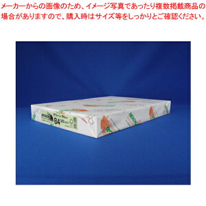 NEWt@CJ[ B4 500 B4-013 O[ 1yC`[z