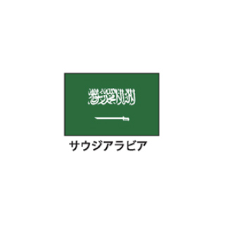 旗(世界の国旗)　エクスラン国旗　サウジアラビア　取り寄せ商品【メイチョー】 | 開業プロ メイチョー