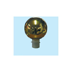 ti@olʁ@22cm(7)@Ԃ@iyC`[z