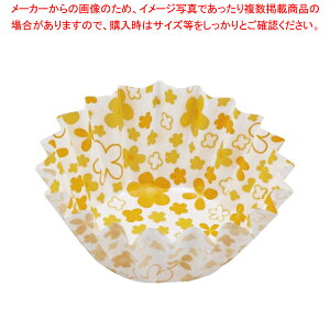 RREP[X(500)ԕ Ђ܂  CG[ yC`[z