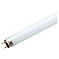 楽天市場】flr54t6wの通販