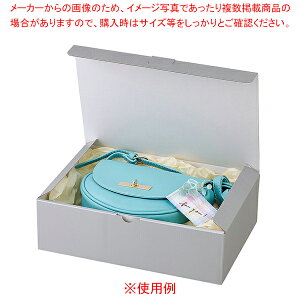 Mtg{bNX Vo[O[ 10 32×22×9cm 61-800-63-8 yC`[z