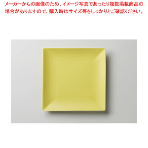 Citron �X�N�G�A�v���[�gL 37F372-04�y���C�`���[�z