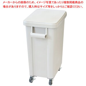 �~�[�p�L���X�^�[�y�[�� 45L �O���[ (�r����t) ���X�y���C�`���[�z