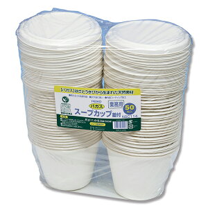 ƖpoKXX[vJbvWtNSC114 50 1܁yC`[z