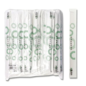 wCR[AXy\  ە 100V 1܁yC`[z